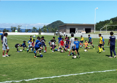 スポーツ教室の開催